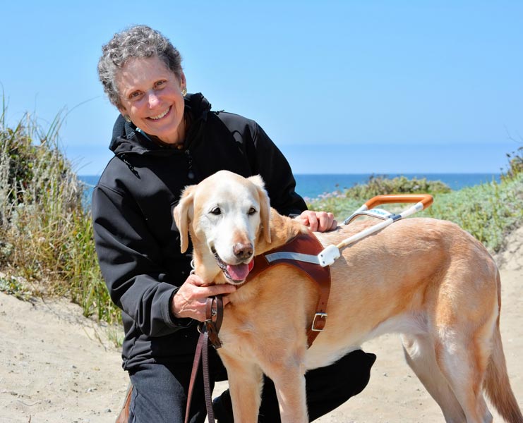 Photo of Teela in harness with Susan on bright beach