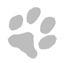 Image of dog paw print